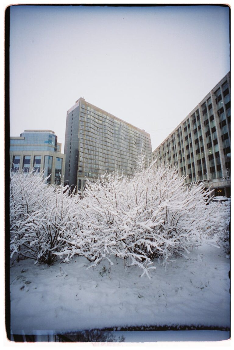 2025 Tech Trends Driving Business Growth and Innovation