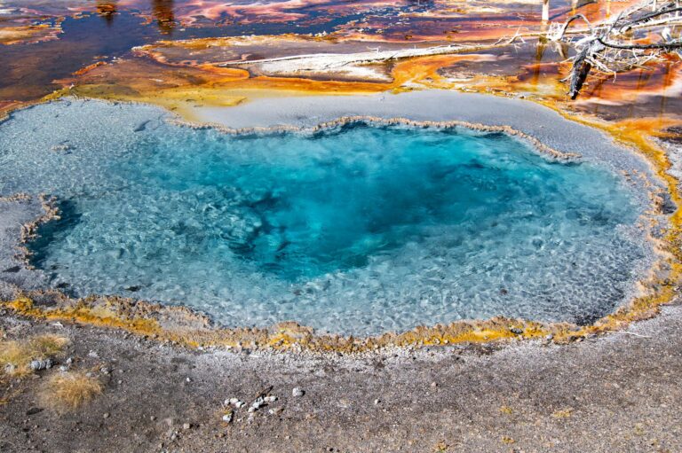 Yellowstone Earthquakes Reveal Microbe Life Secrets
