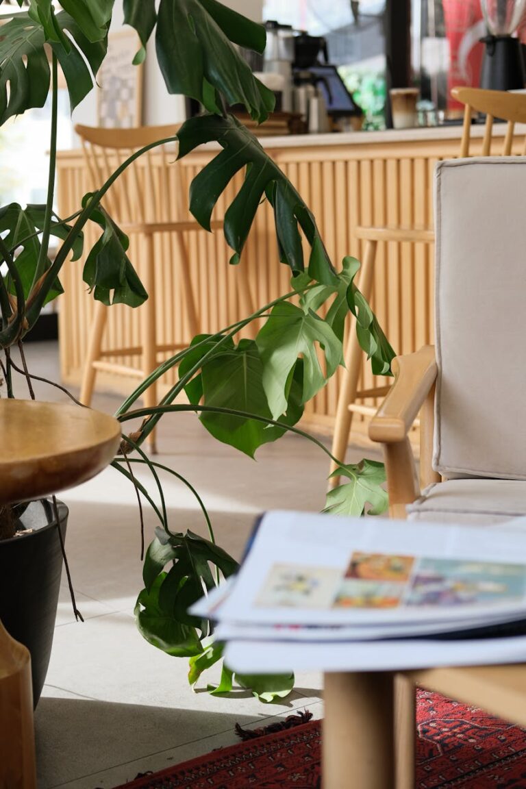 Inspiring Decor Ideas for Every Space and Occasion